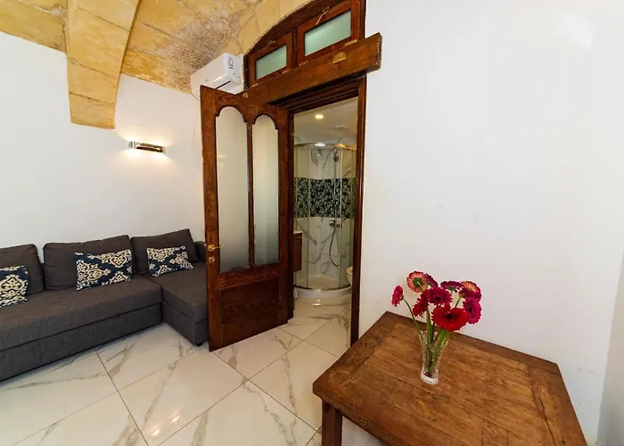 Old Well 公寓 瓦莱塔